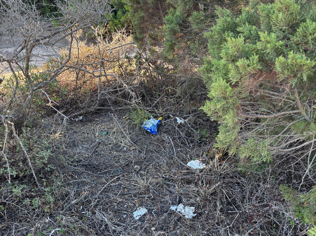 La Tonnara Beach-博尼法乔必去景点