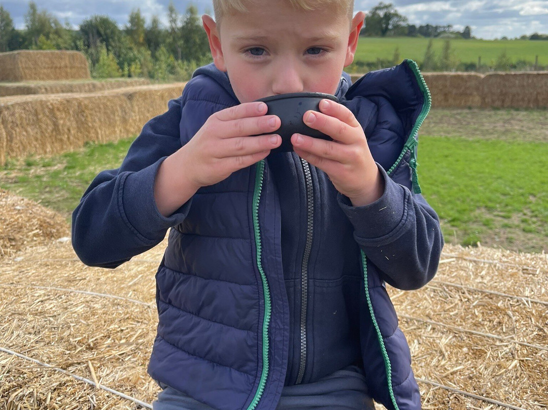 William's Den-Drewton必去景点