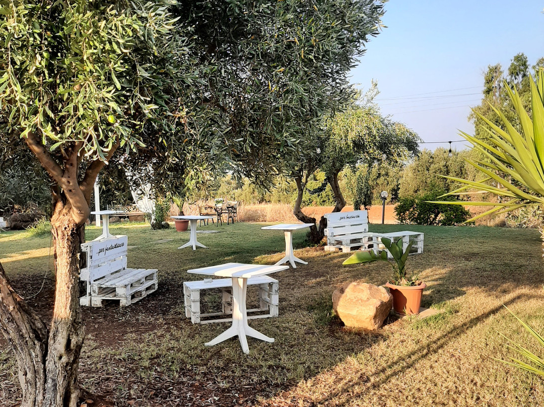 Bed and Breakfast Gli Ulivi主图