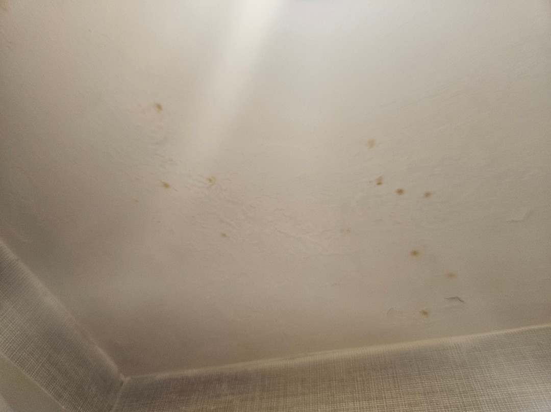 Hyatt Place Cincinnati - Blue Ash主图