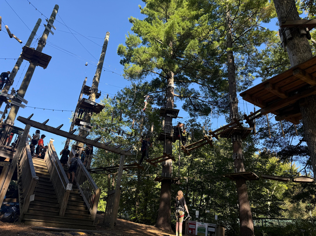 TreeTop Adventures Canton-Canton必去景点