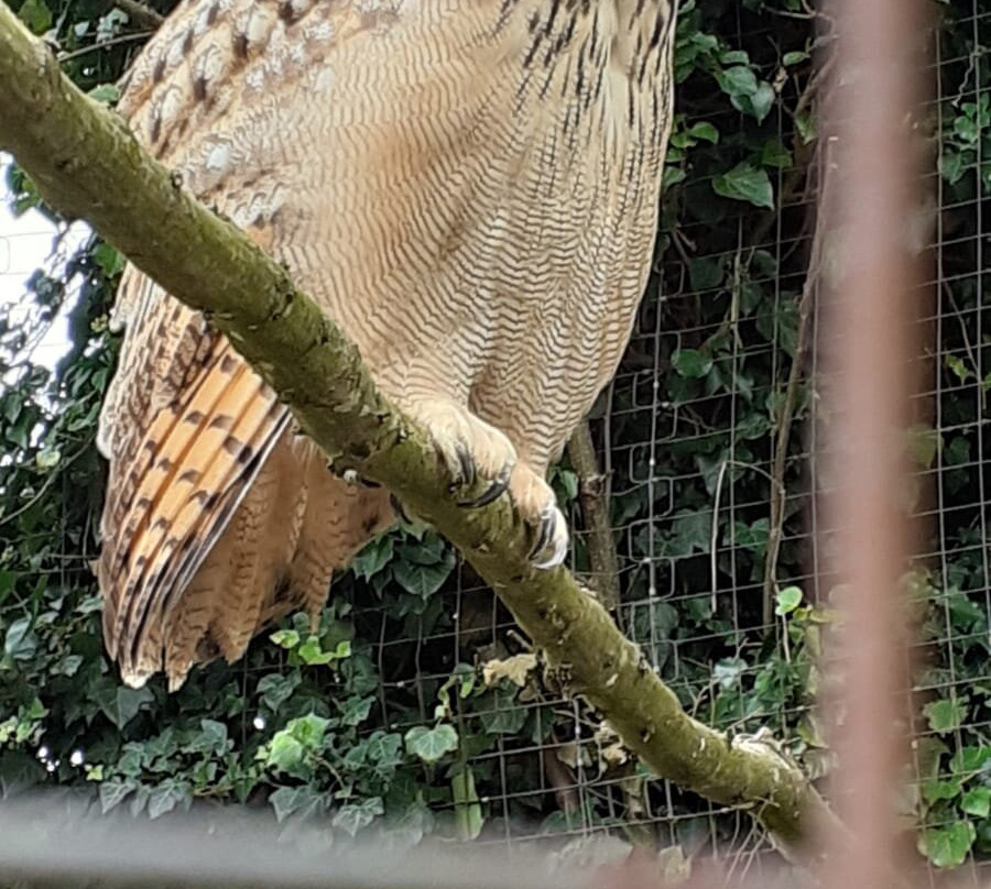 Wasserstern-因戈尔施塔特必去景点