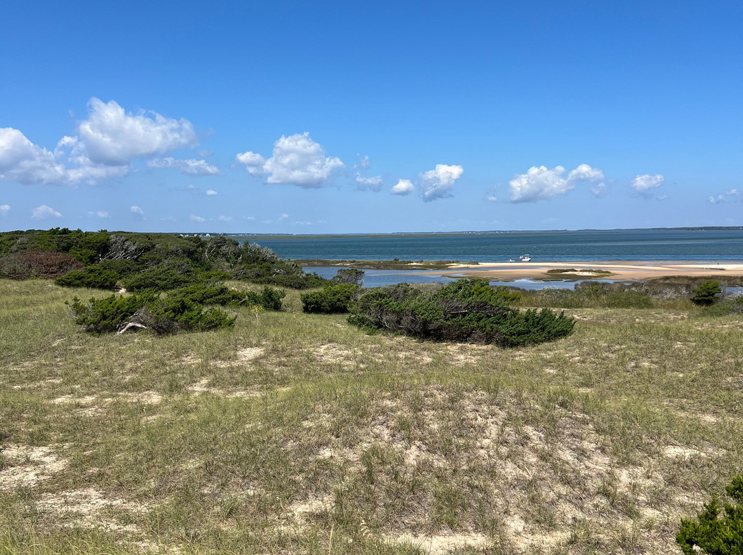 H2O Captain Eco-Tour Private Boat Excursions-莫尔黑德城必去景点