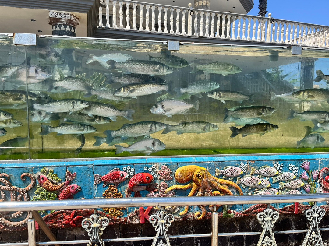 Duvar Akvaryumlu Ev-切什梅必去景点