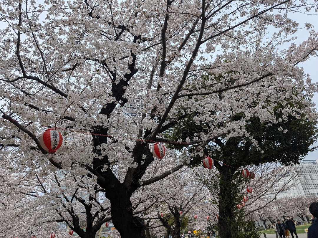 Kinshi Park-墨田区必去景点