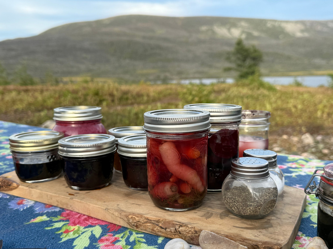 Under the Stump Inc-Rocky Harbour必去景点