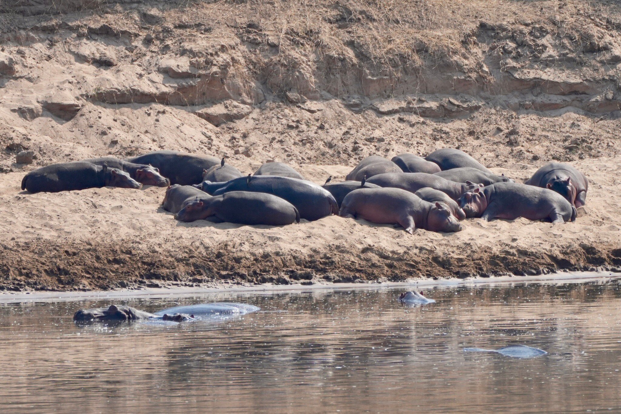 Croc Valley Camp-官方