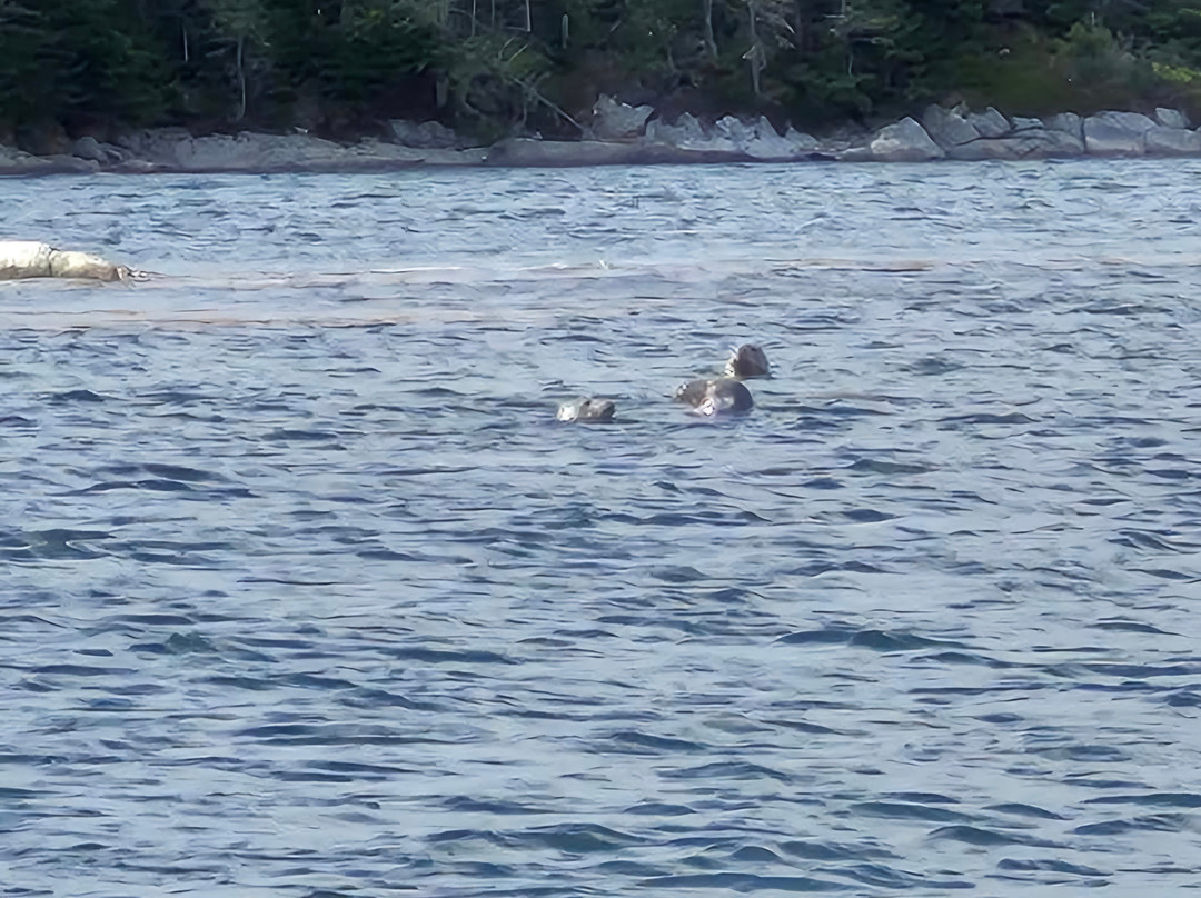 Peggy's Cove Boat Tours-Peggy's Cove必去景点