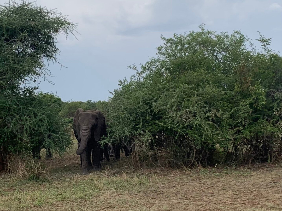 One-way Tours and Safaris-姆万扎必去景点
