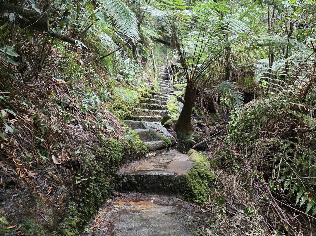 Grand Canyon Track-Blue Mountains National Park必去景点