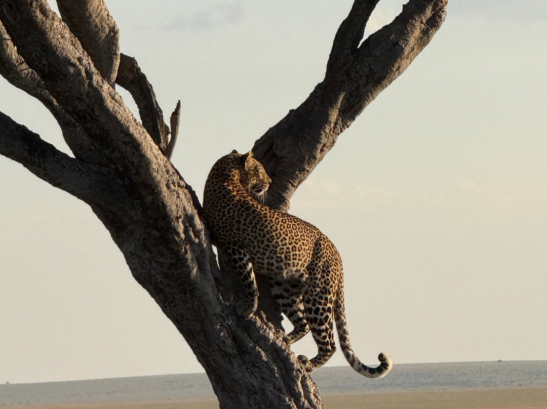 Seremara Safaris-Karen必去景点