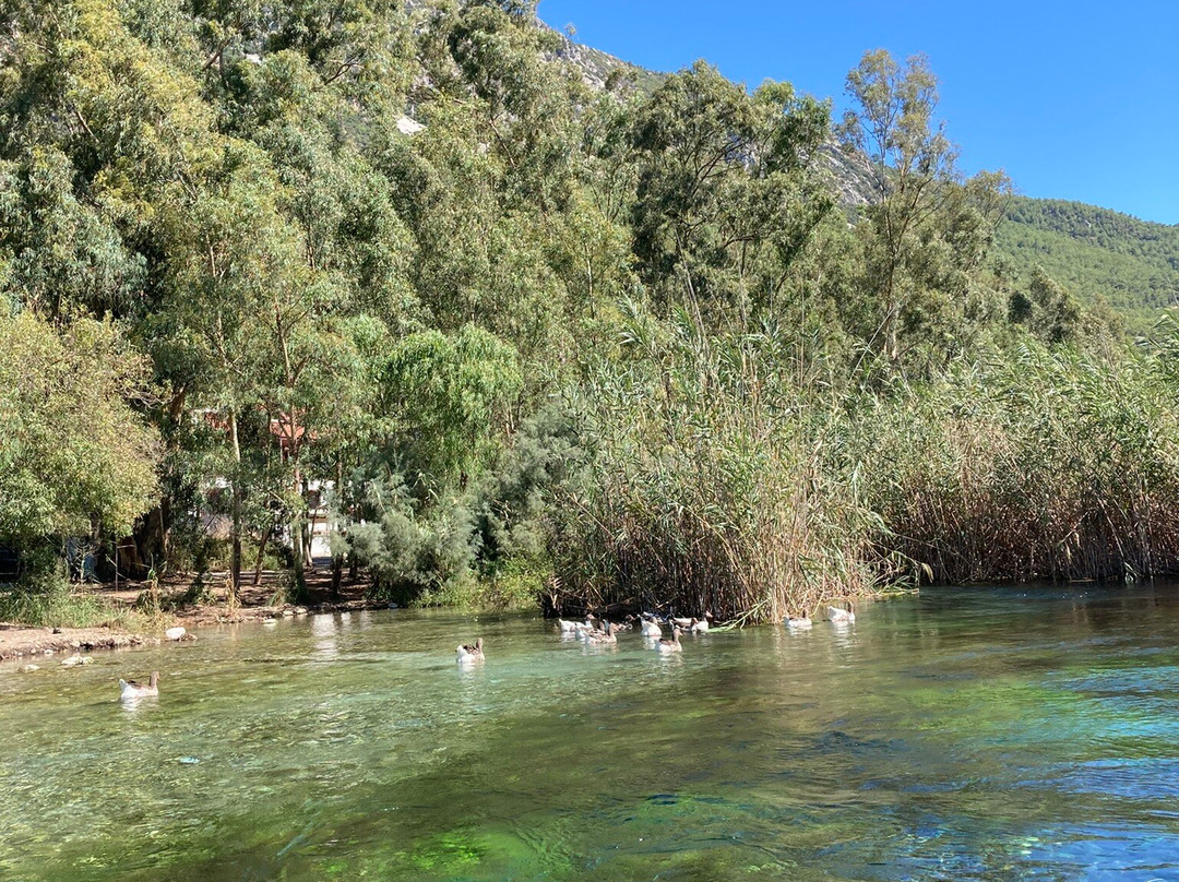 Akyaka River Romp-Akyaka必去景点