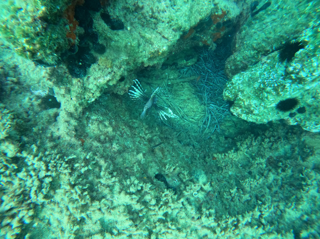 Active Blue Diving Center-库萨达斯必去景点