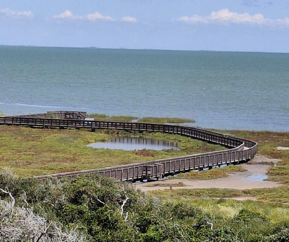 Aransas National Wildlife Refuge-Austwell必去景点