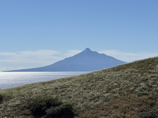 Takayama Botanical Garden-礼文町必去景点