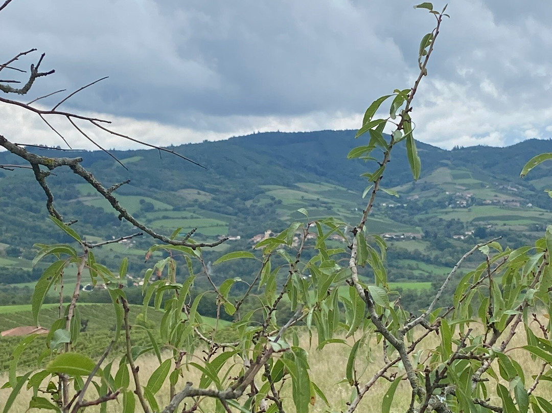 Beaujolais Wine Tours-Oingt必去景点