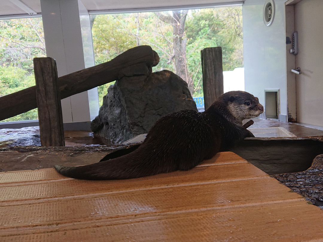 Hana Biyori-稻城市必去景点