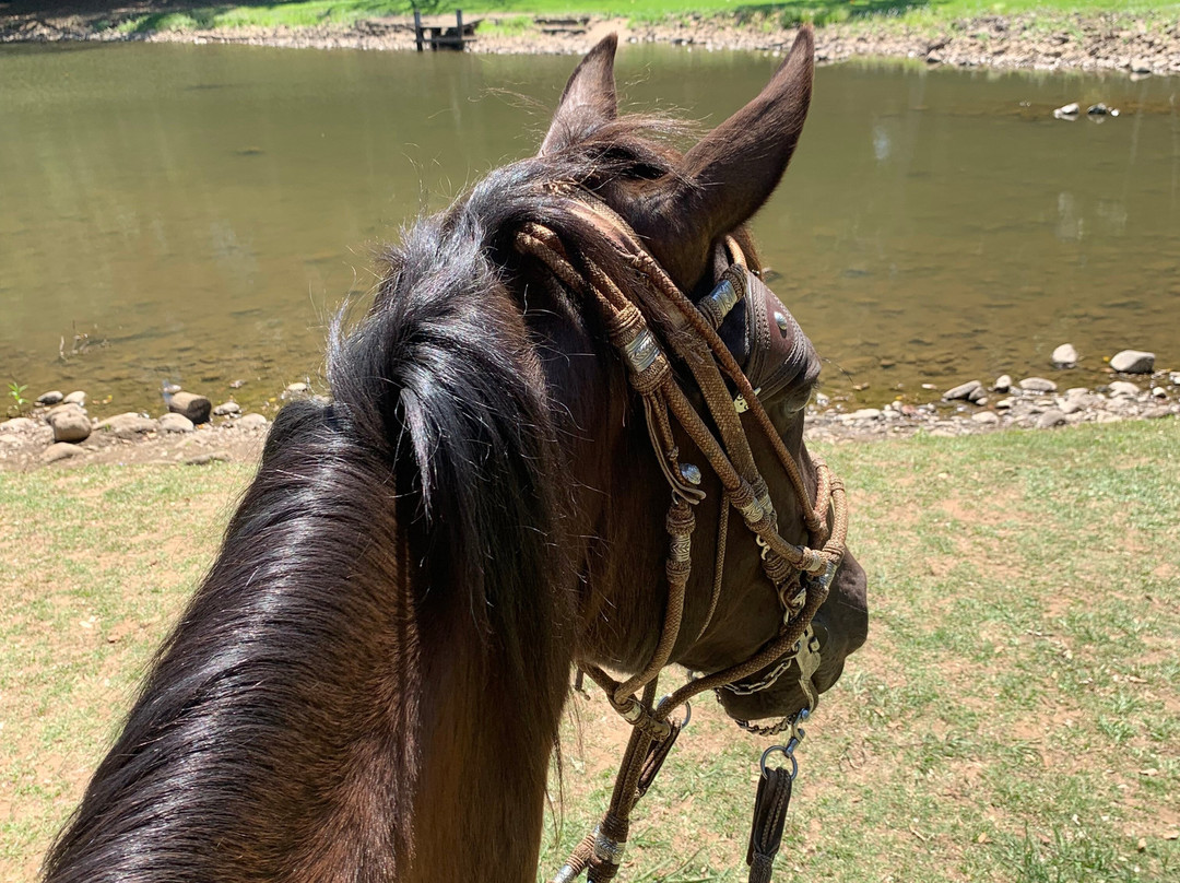 Historic Rivermill-黄金海岸必去景点