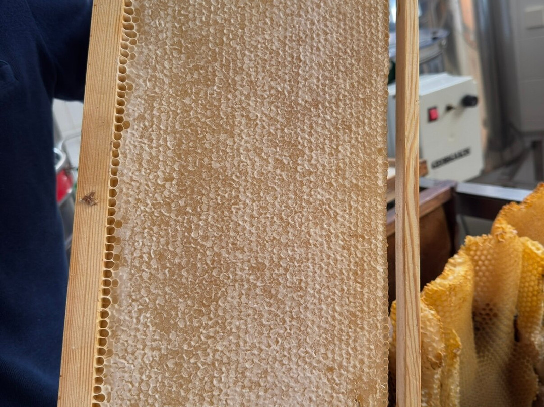 Melissokomikí Kérkyras Vasilákis-Vatos必去景点