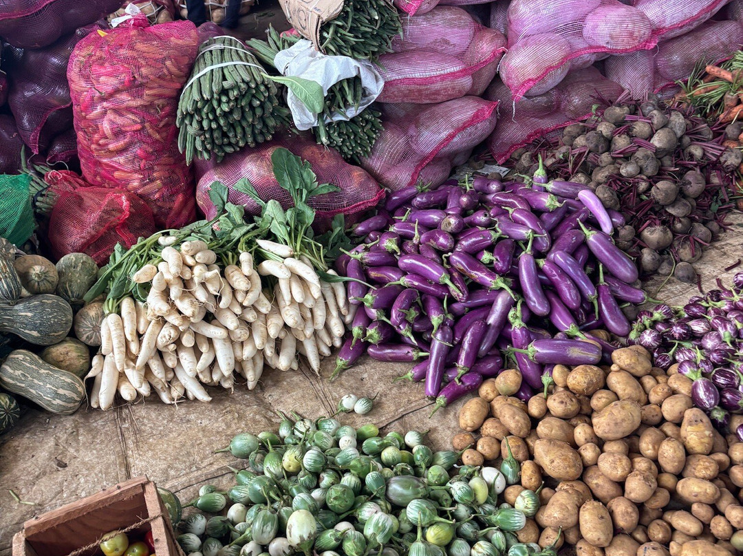 Ceylon Travel With Danu-Omantai必去景点