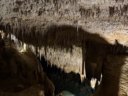 Lemon Tours-马洛卡帕尔马必去景点