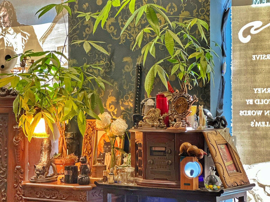 Black Cat Curiosity Shoppe-塞勒姆必去景点