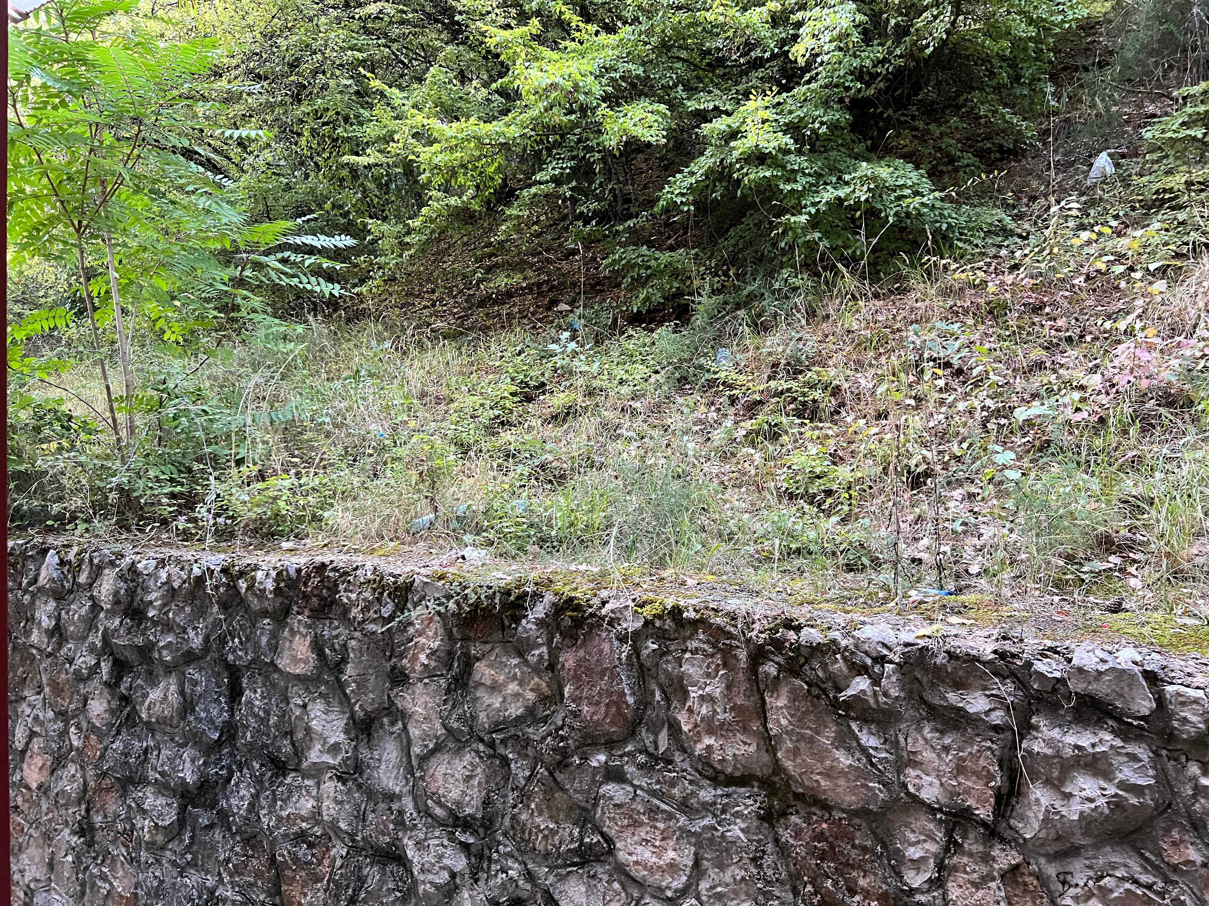 贝尔福德雷尔酒店-官方