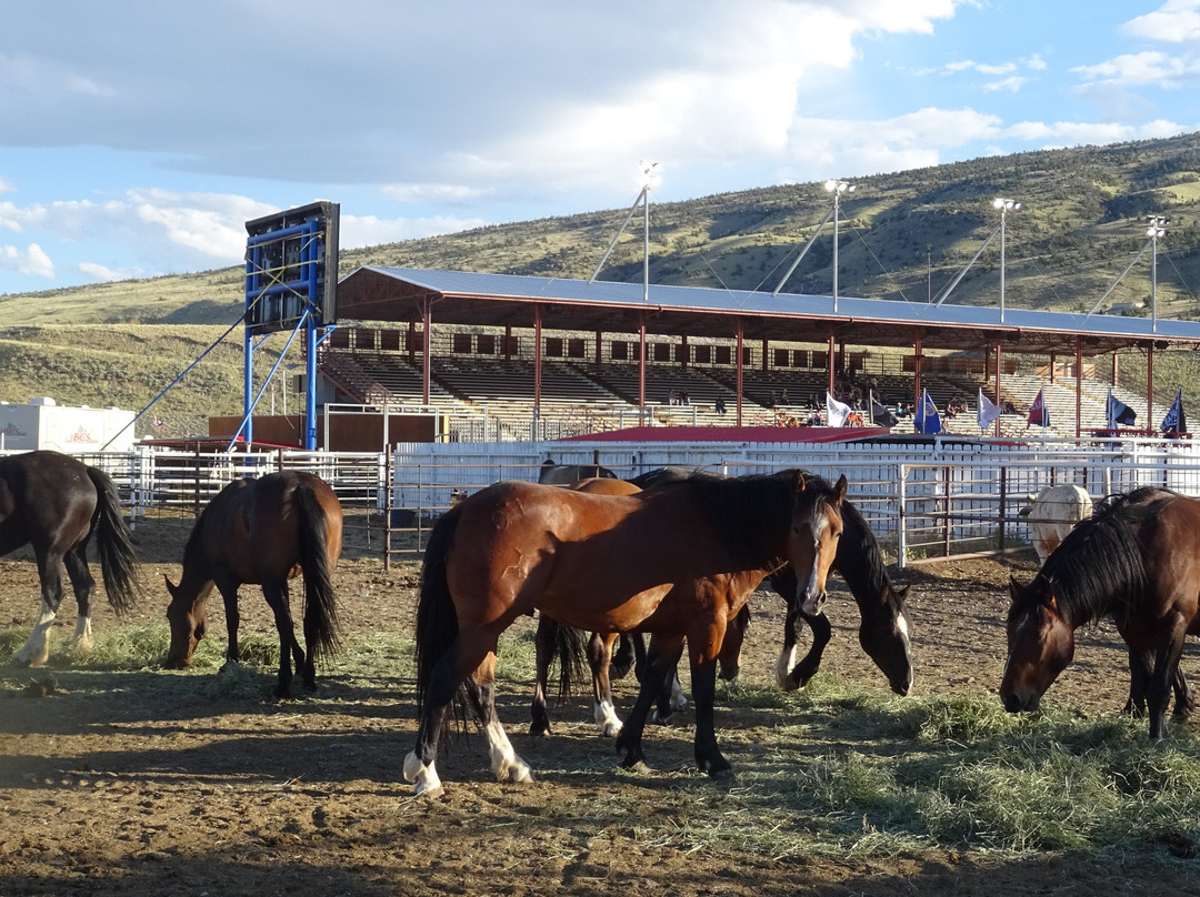 Cody Night Rodeo-科迪必去景点