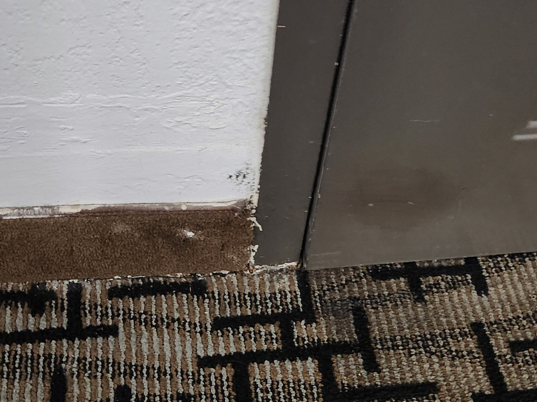 SureStay By Best Western North Myrtle Beach主图