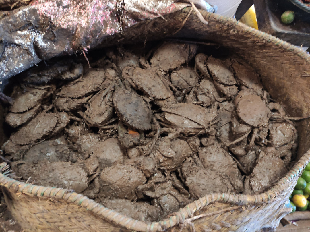 Namatours Viaggi Solidali-Toliara必去景点