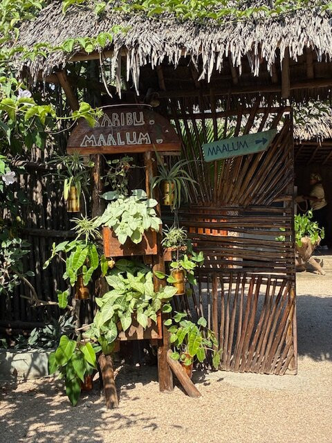 Maalum-帕杰必去景点