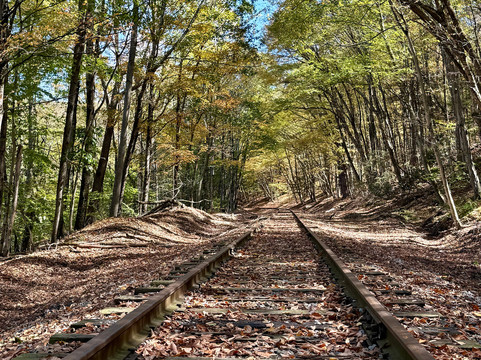 Soarin Eagle Rail Tours-霍利必去景点