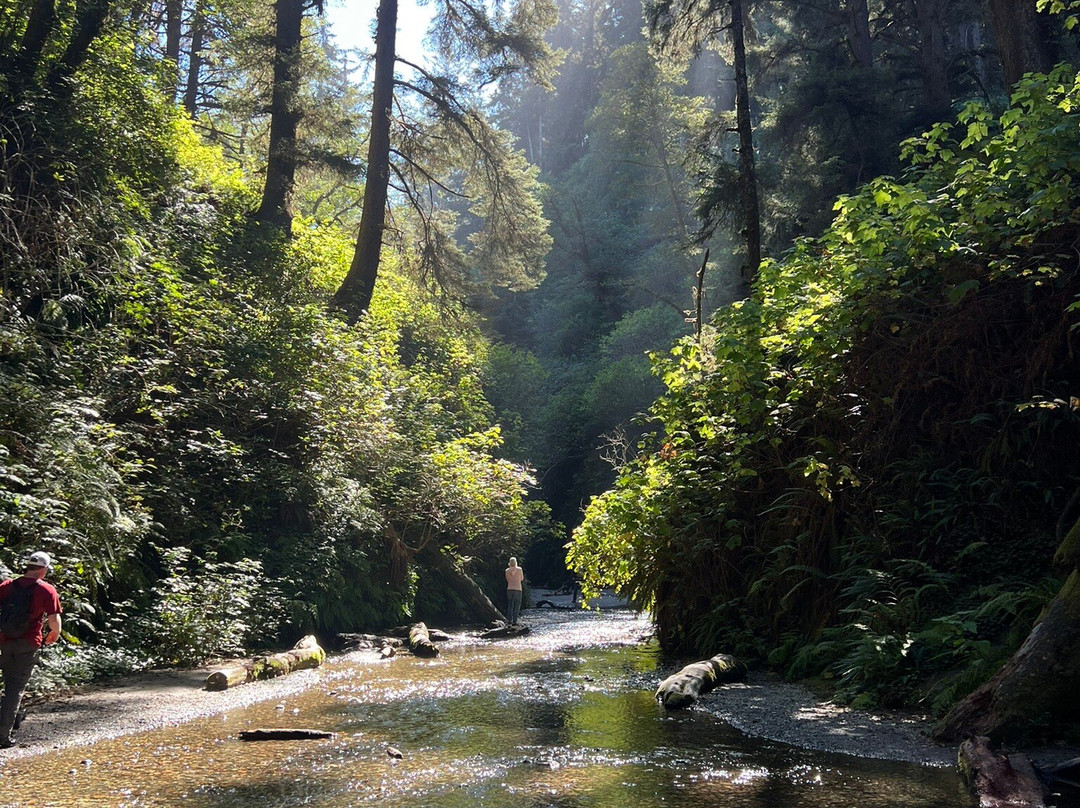 Fern Canyon-Orick必去景点