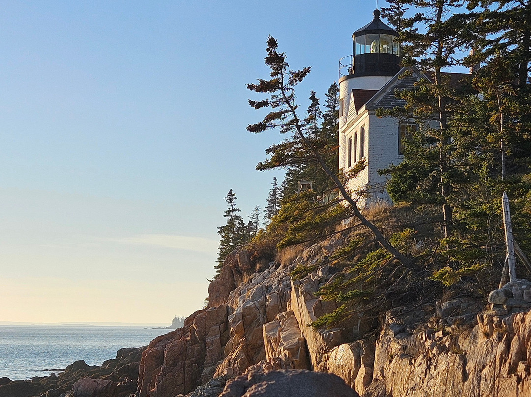 Main Street Motel主图