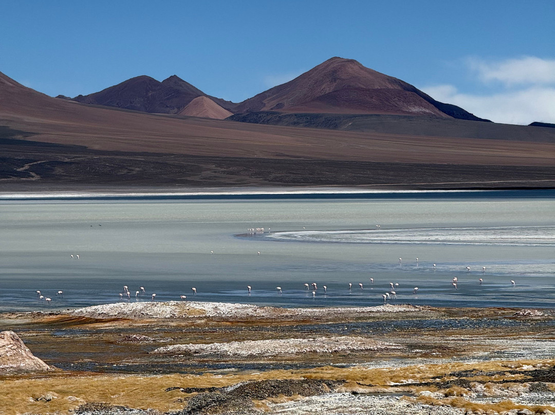 Laguna Brava-null必去景点