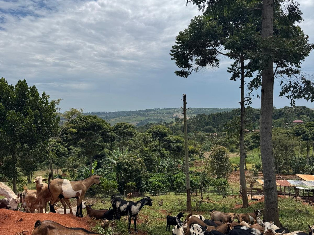 Tukulu Eco Village-Buikwe必去景点