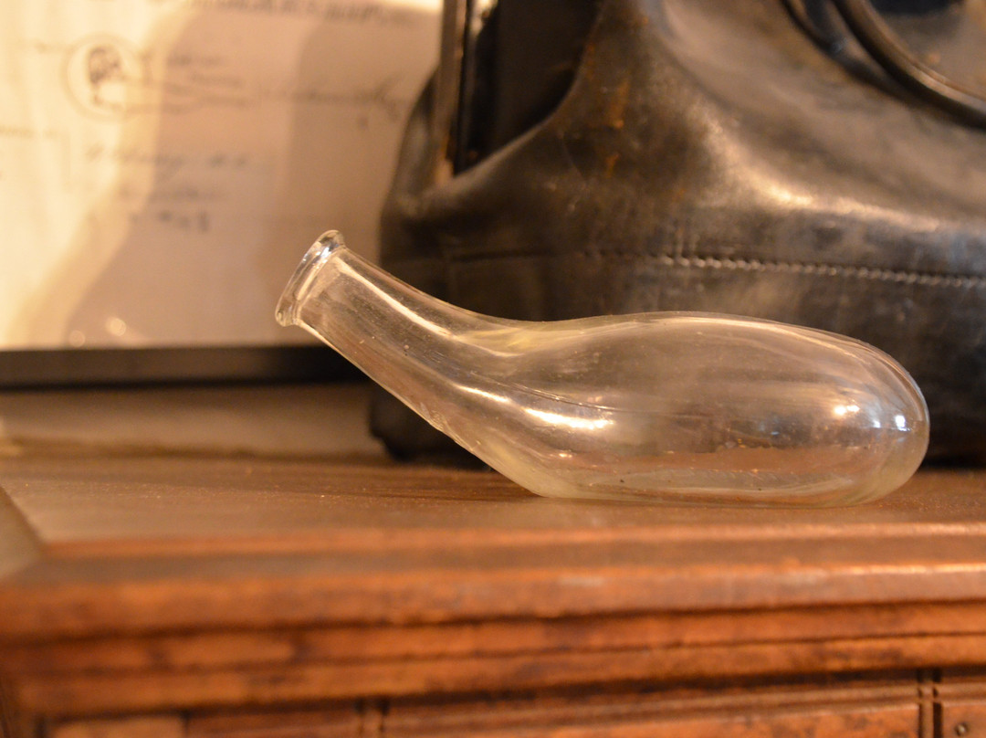 Davies Plantation Park-Bartlett必去景点