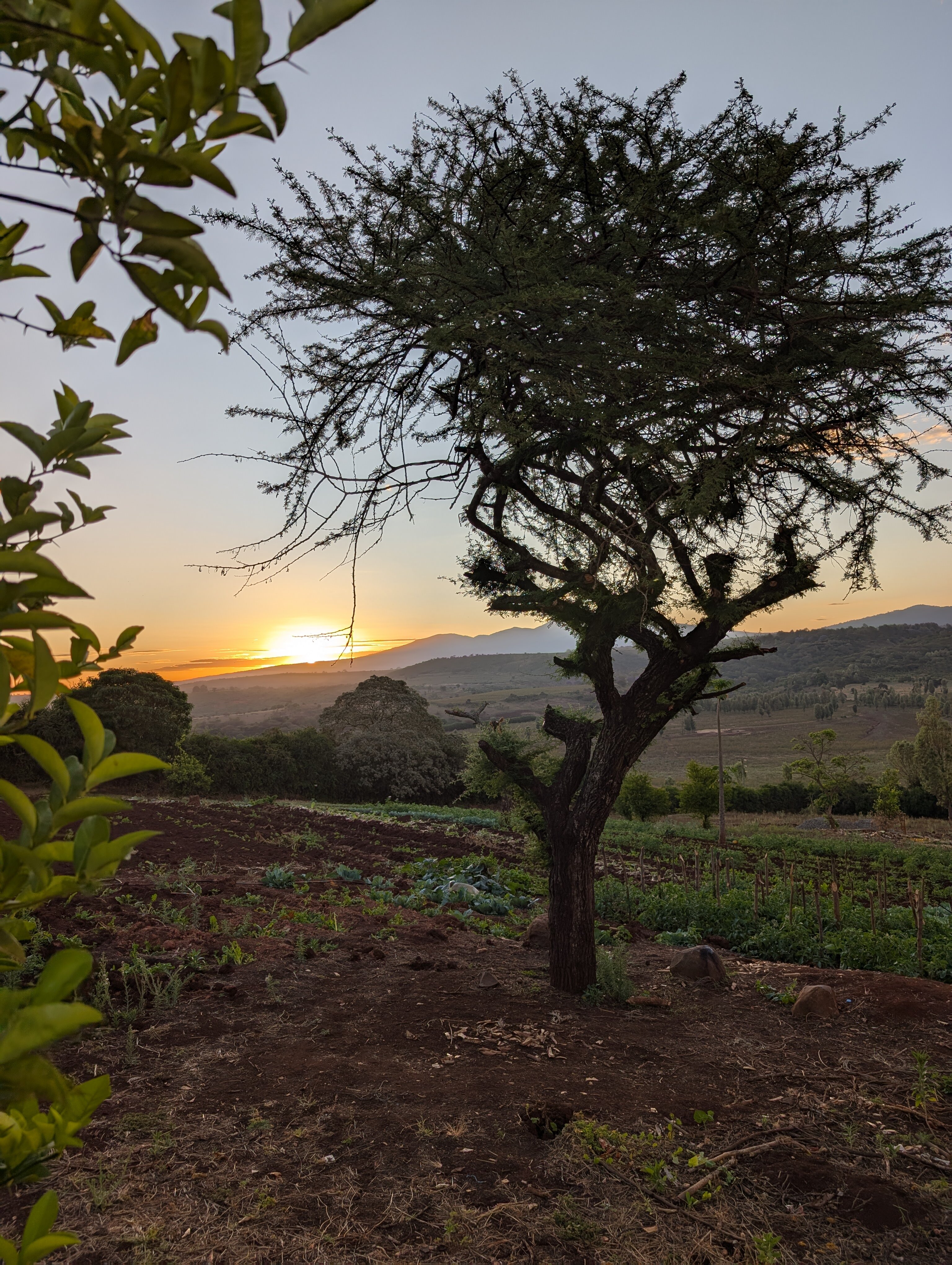 Highview Hotel-酒店景观