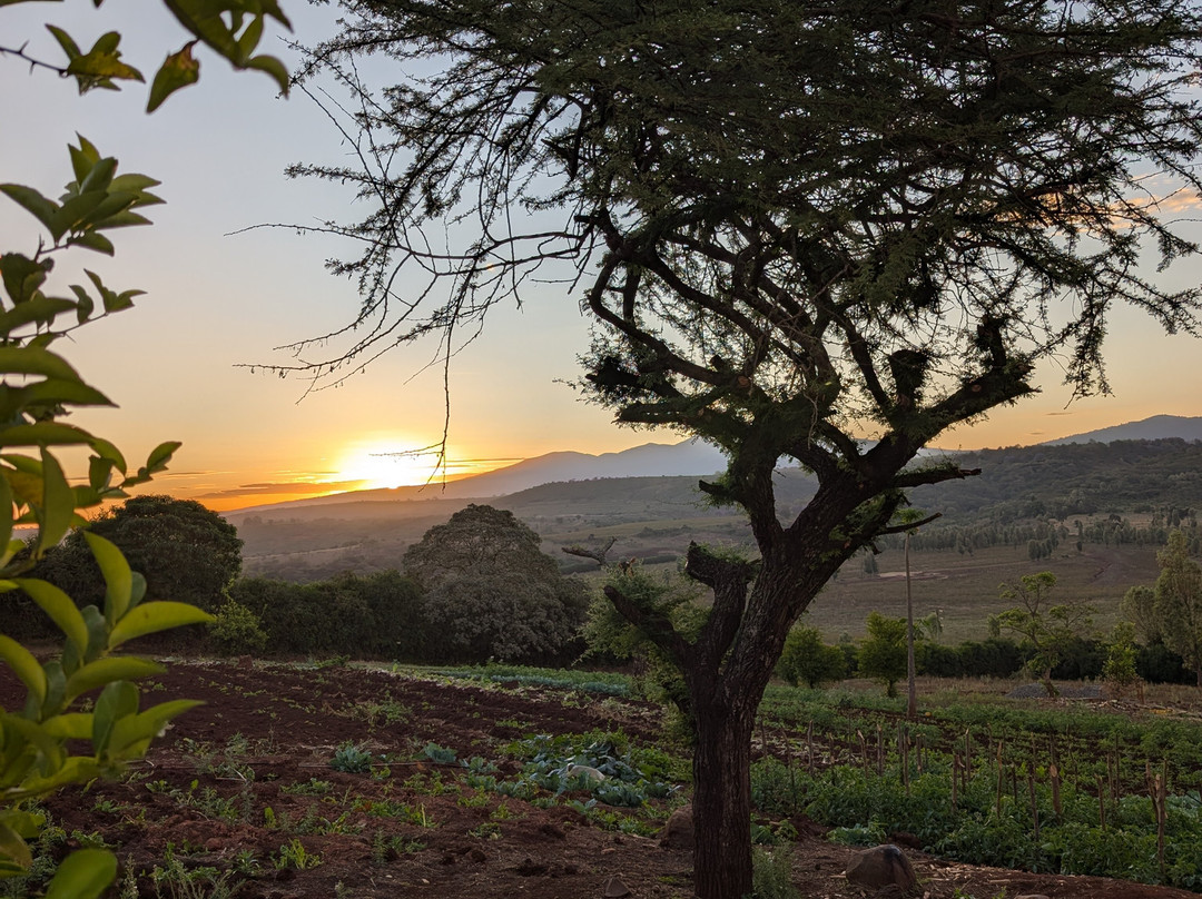 Highview Hotel主图