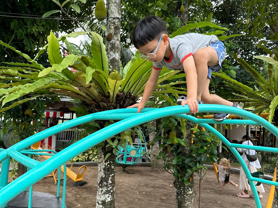 Parklife Bali-长谷必去景点
