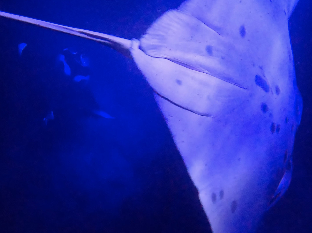 Anelakai Adventures-凯乌渥必去景点