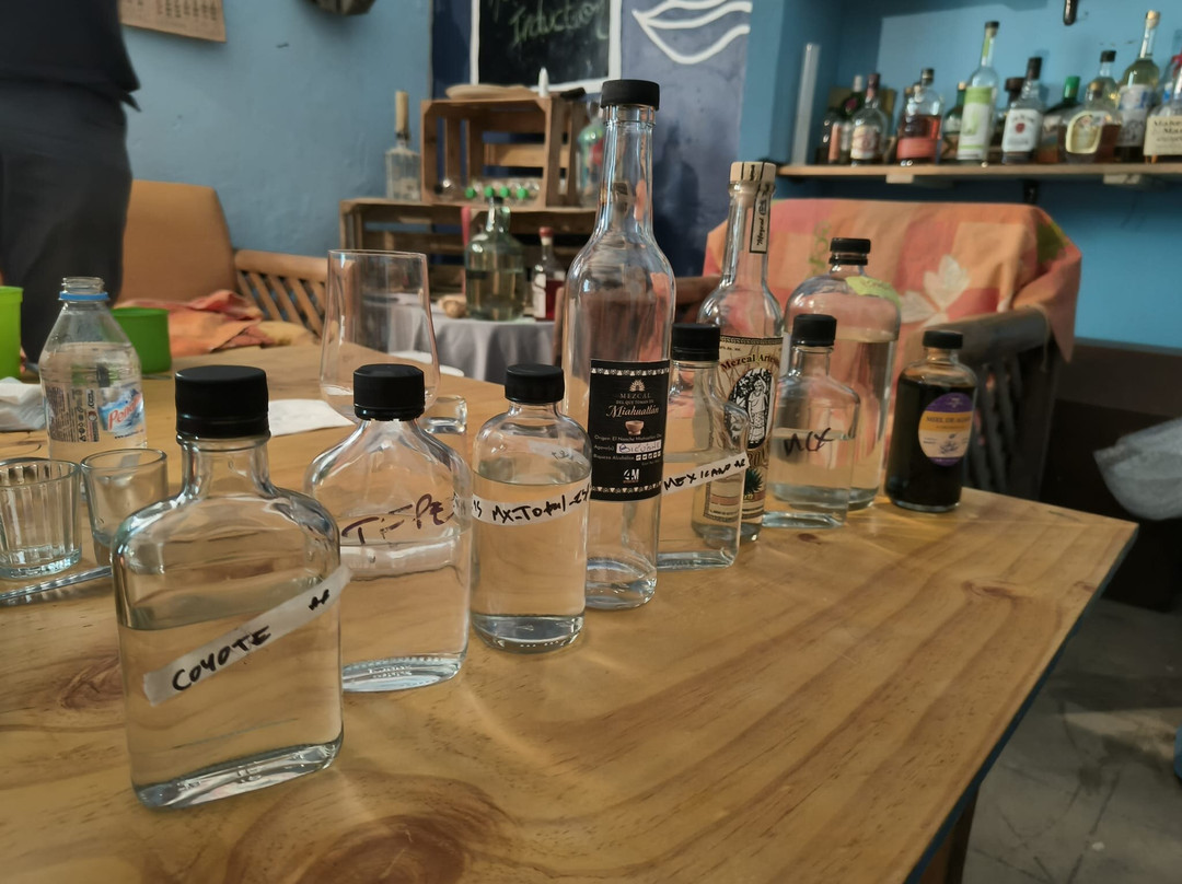 Viajeros del Mezcal Experiences