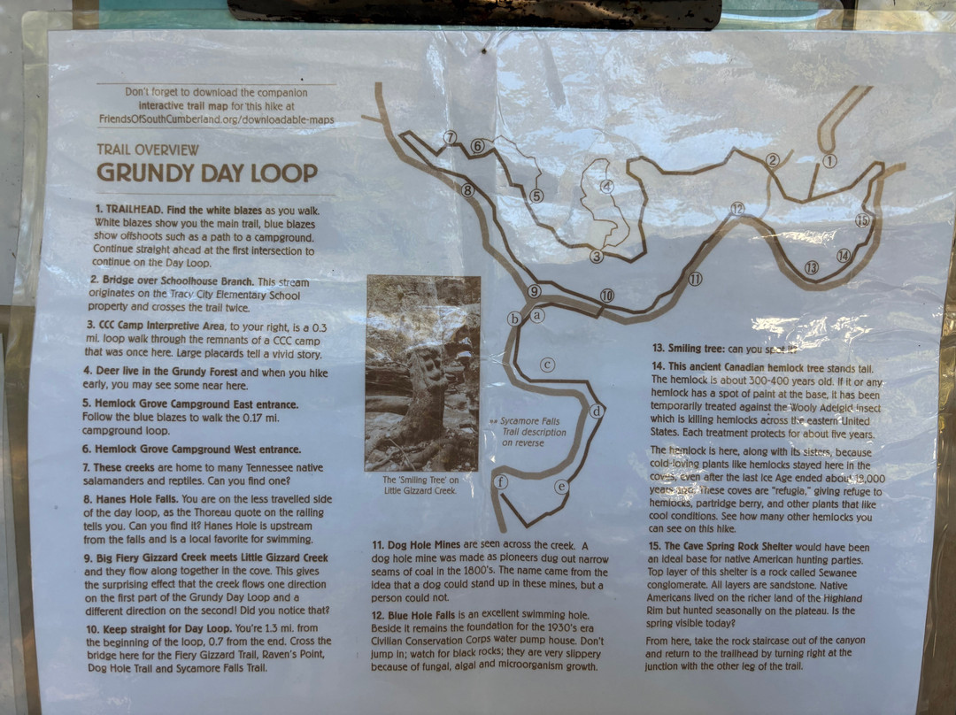 Bigfoot Adventure TN-Tracy City必去景点