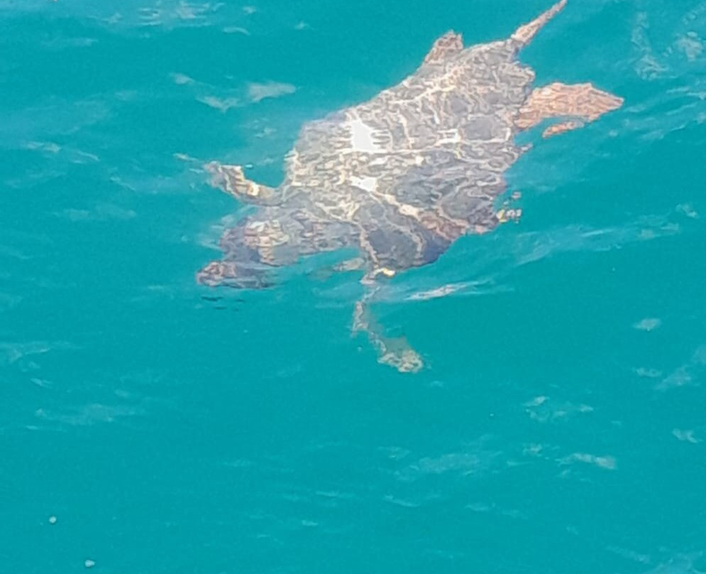 Cretan Holidays-伊拉克利翁必去景点