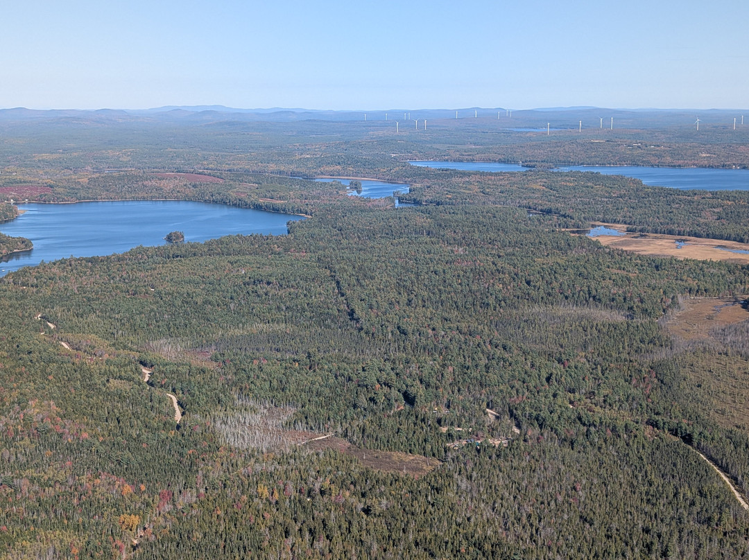 Scenic Flights of Acadia-Trenton必去景点