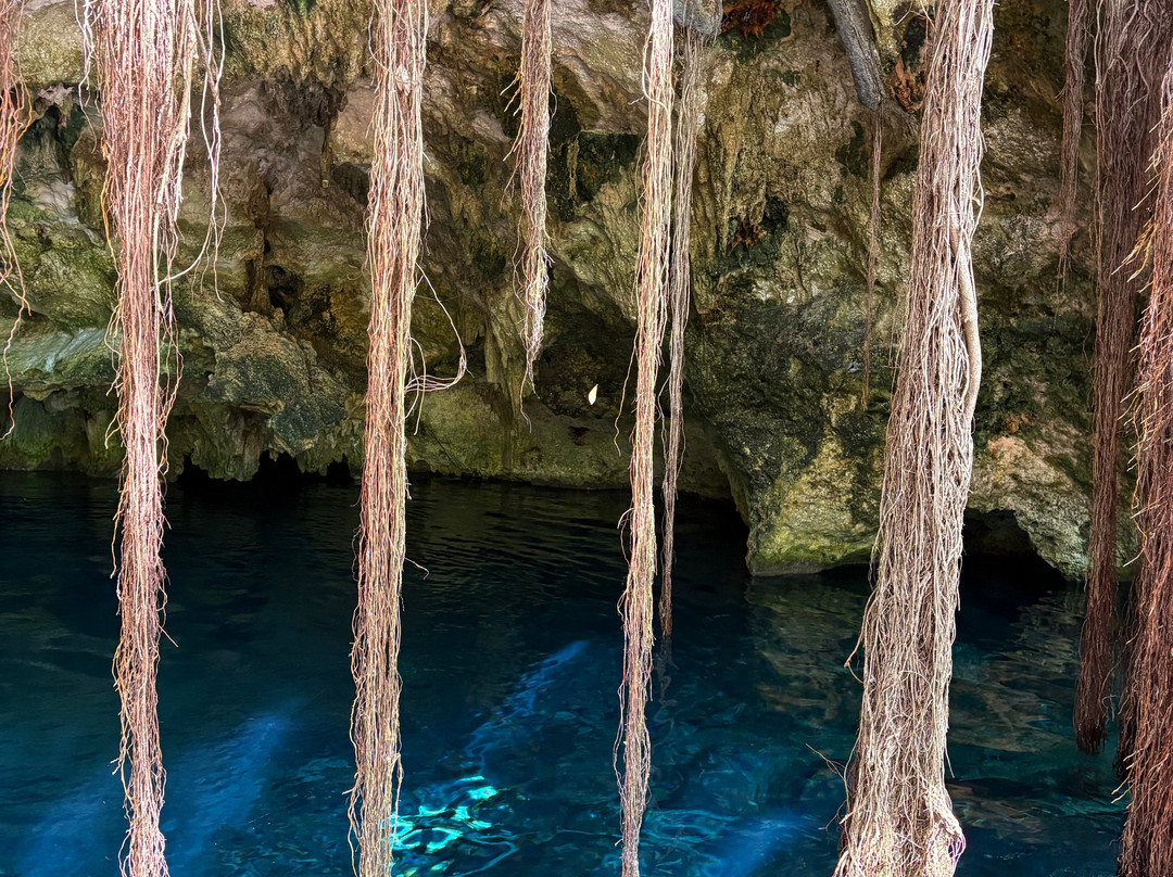 ToursCancun.org-墨西哥城必去景点