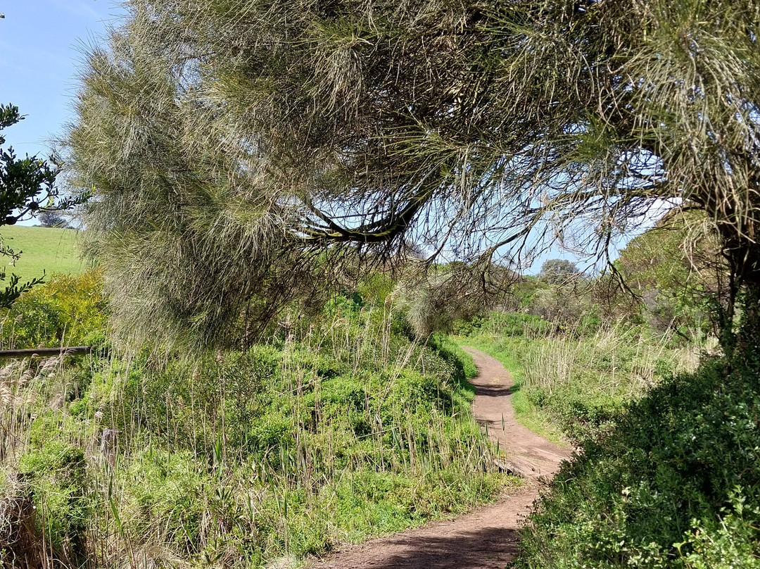 George Bass Coastal Walk-圣雷莫必去景点