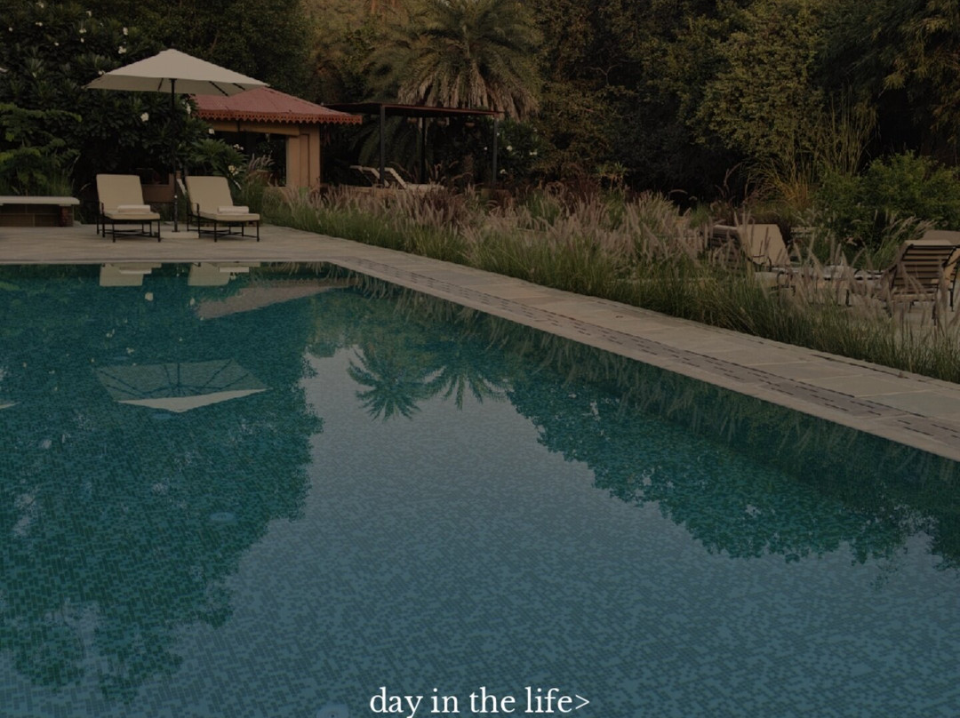 Aloof The Jungle Lodge Ranakpur