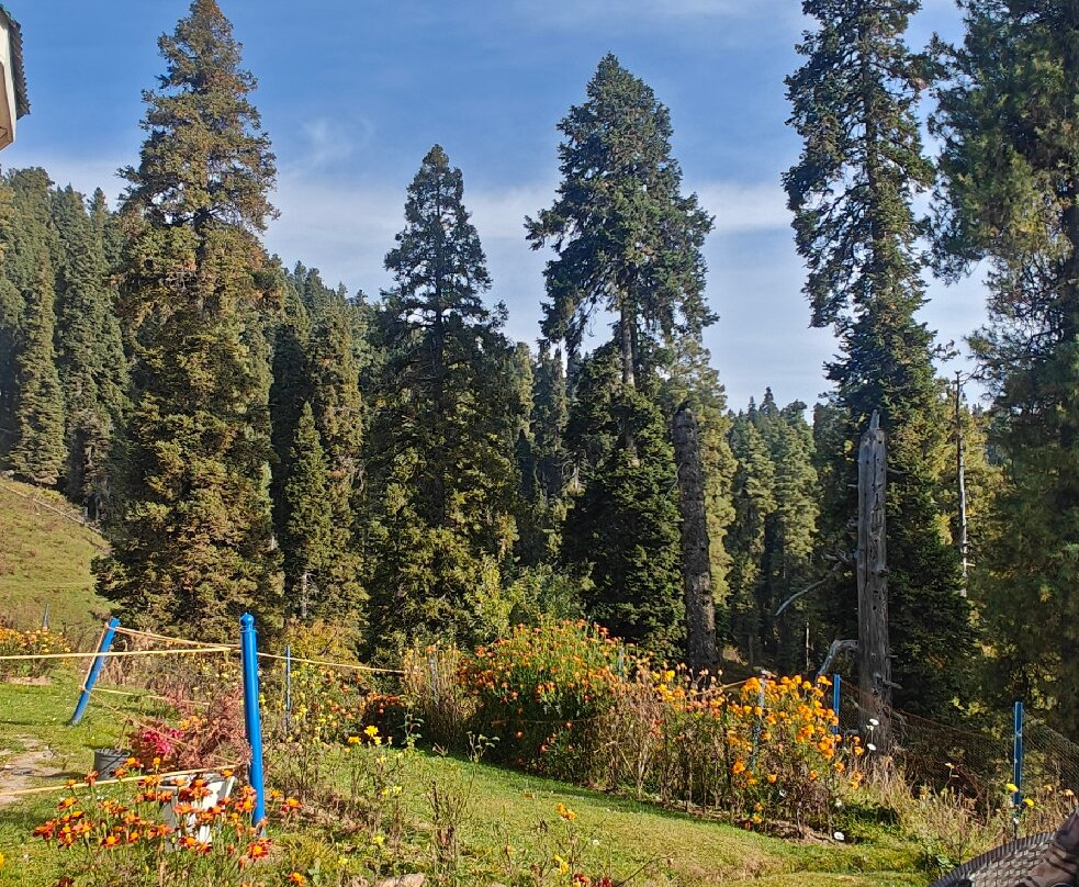 Gulmarg Ski Hill Resort主图