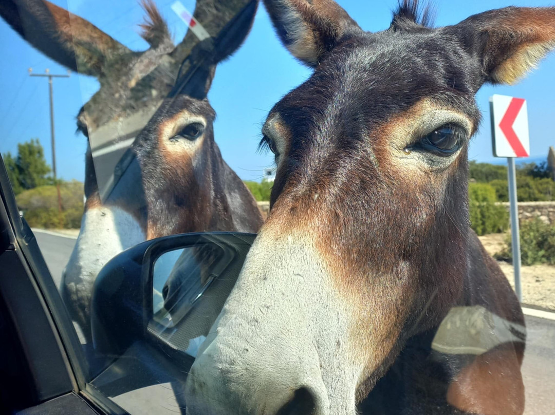 Grand Sapphire City Hotel主图